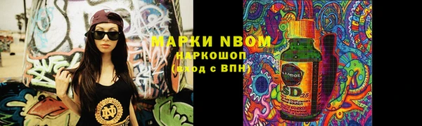 молекула духа Богданович