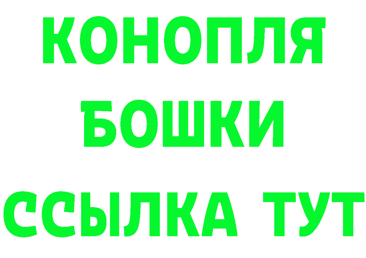 Canna-Cookies марихуана как войти дарк нет гидра Прокопьевск